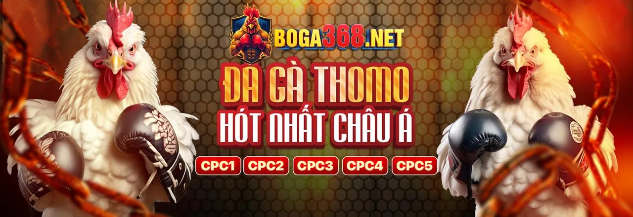 Đá gà trực tuyến kịch tính tại bong98